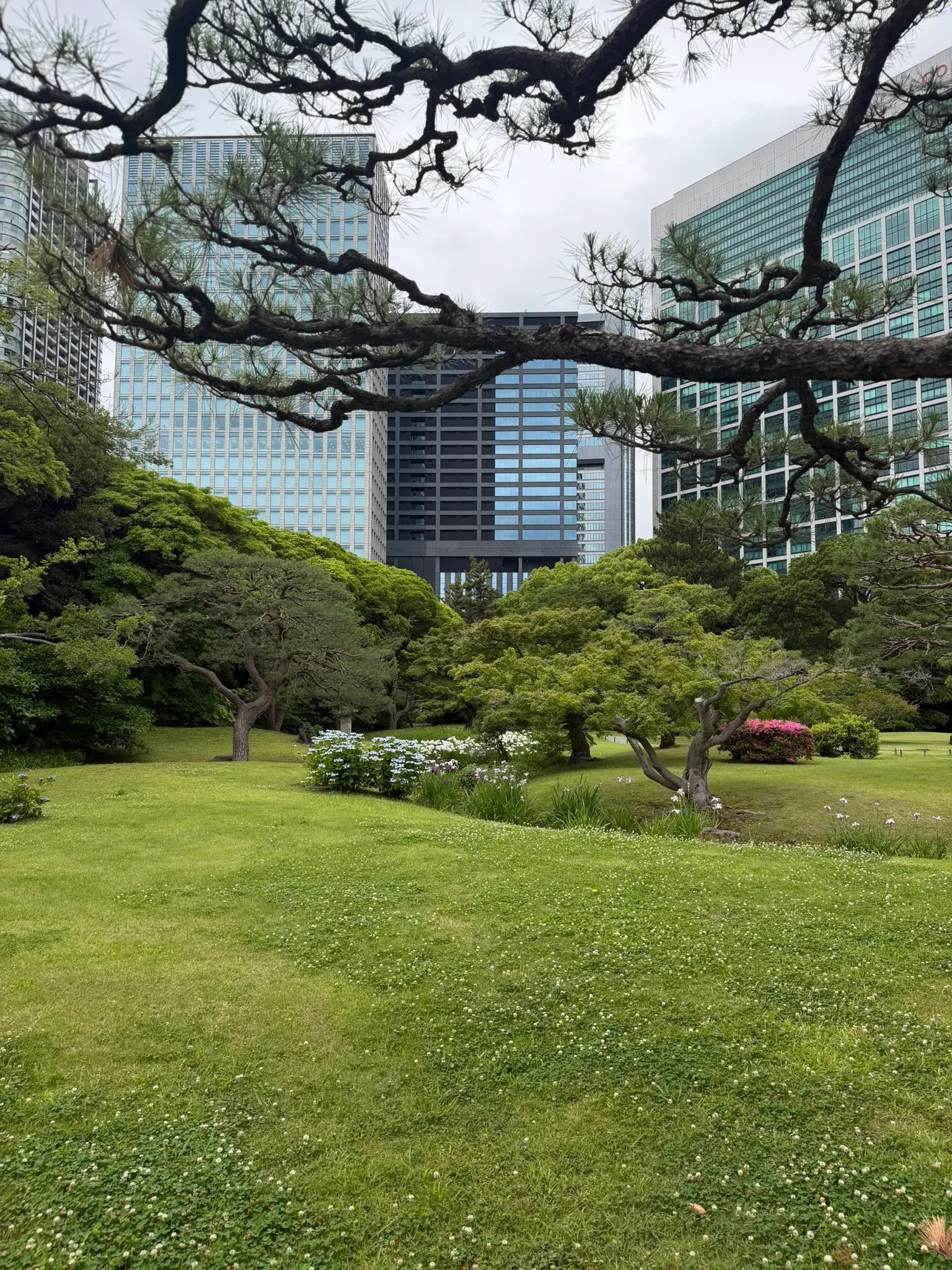 Bridges over the water surrounded by greenery at Hamarikyu Gardens in Tokyo