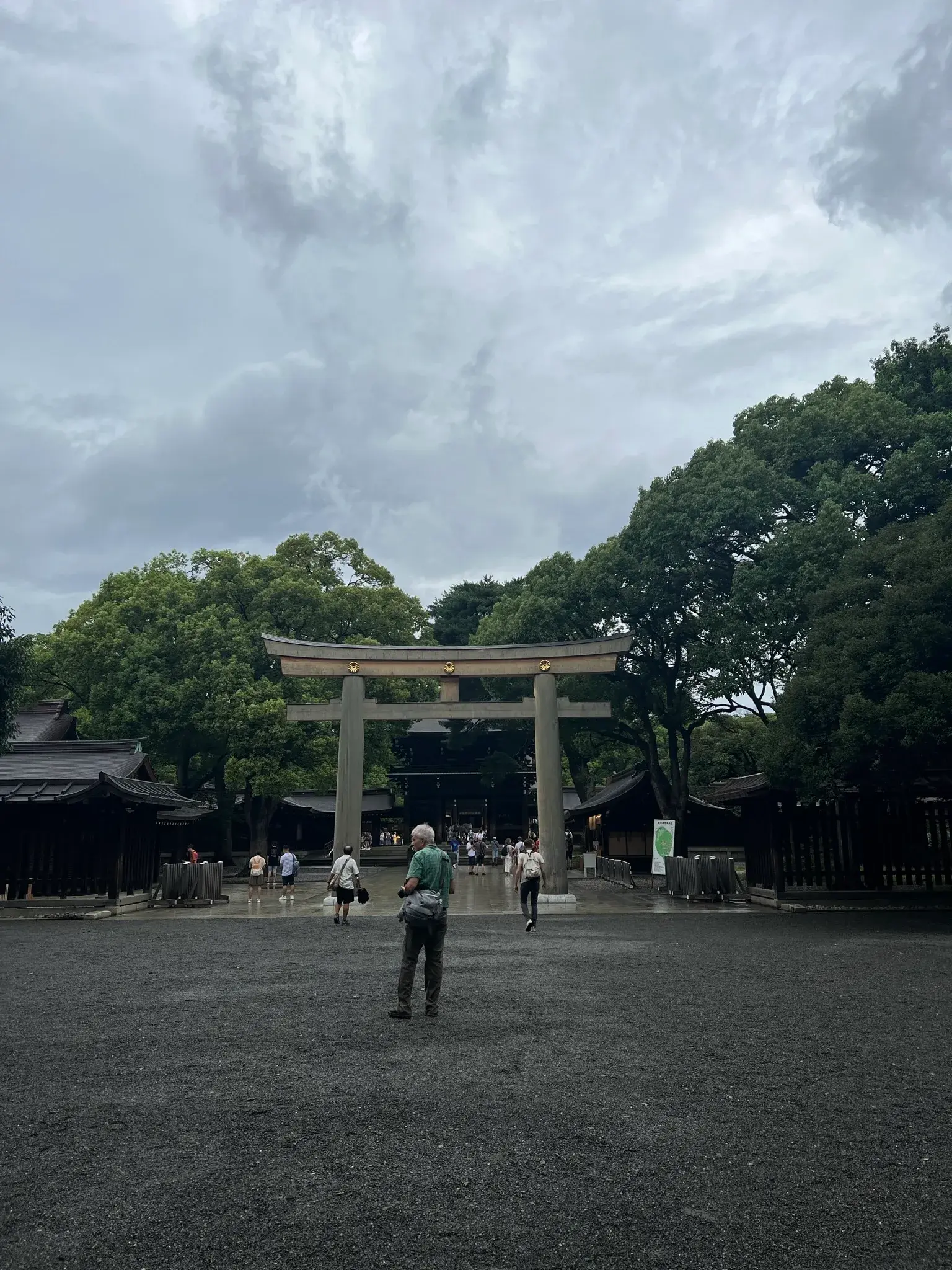 Tall trees lining the peaceful walking path to Meiji Jingu Shrine