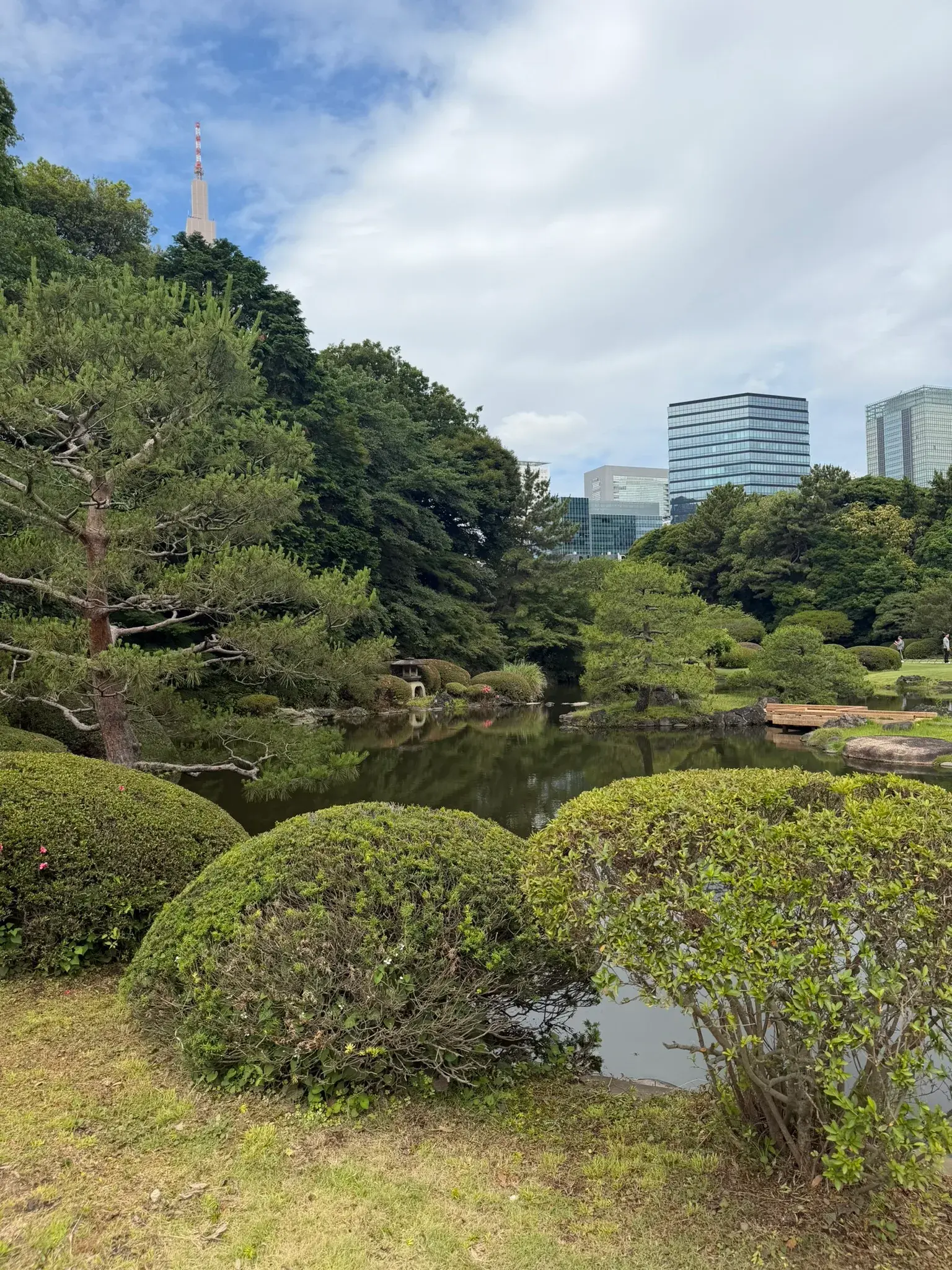 Japanese garden with a pond and traditional bridge at Shinjuku Gyoen, Tokyo
