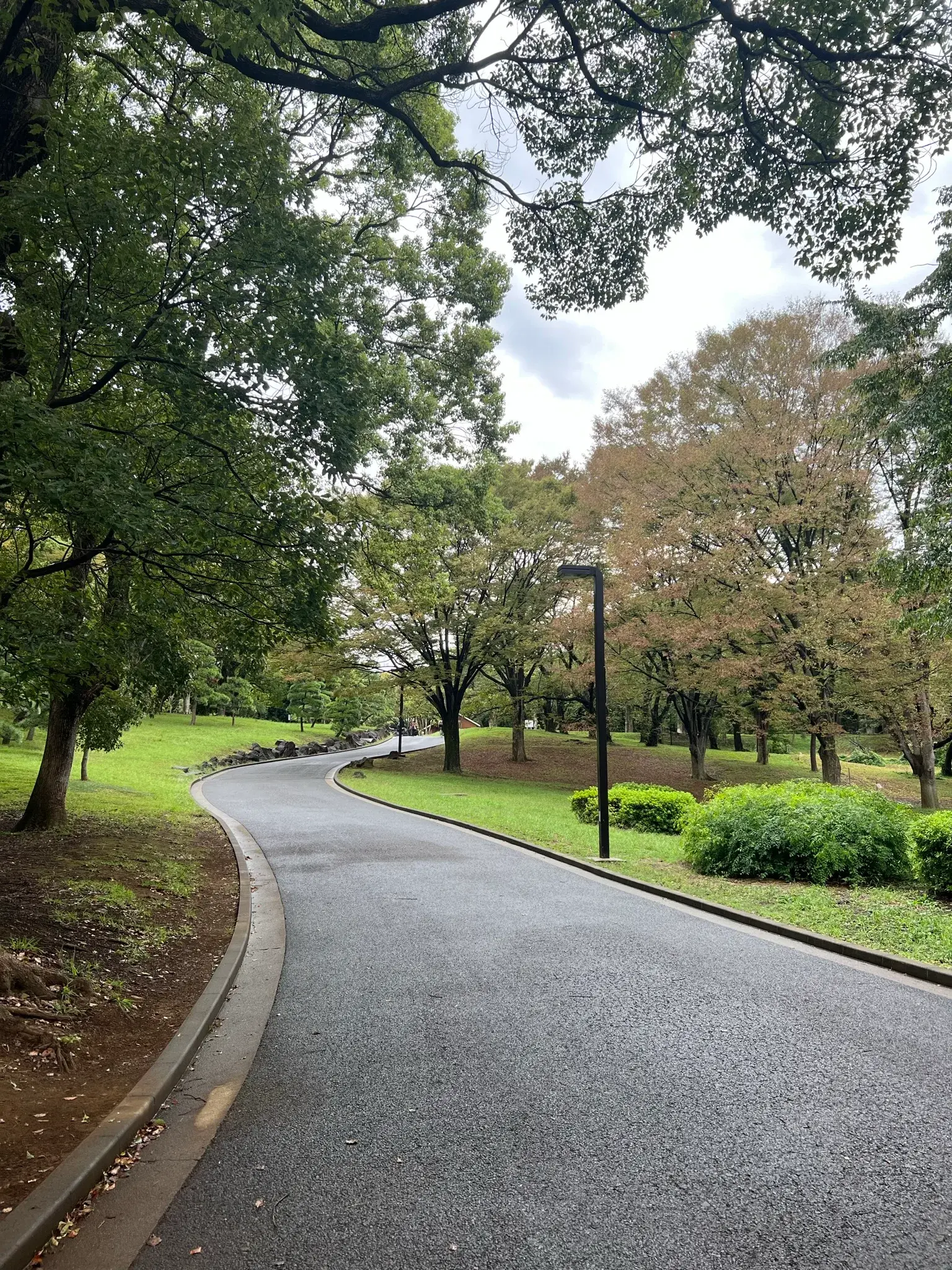 Colorful flowers and greenery in Yoyogi Park