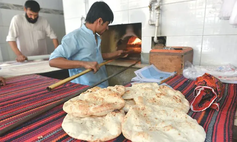 South Asian Breads: Roti, Naan & Paratha Guide