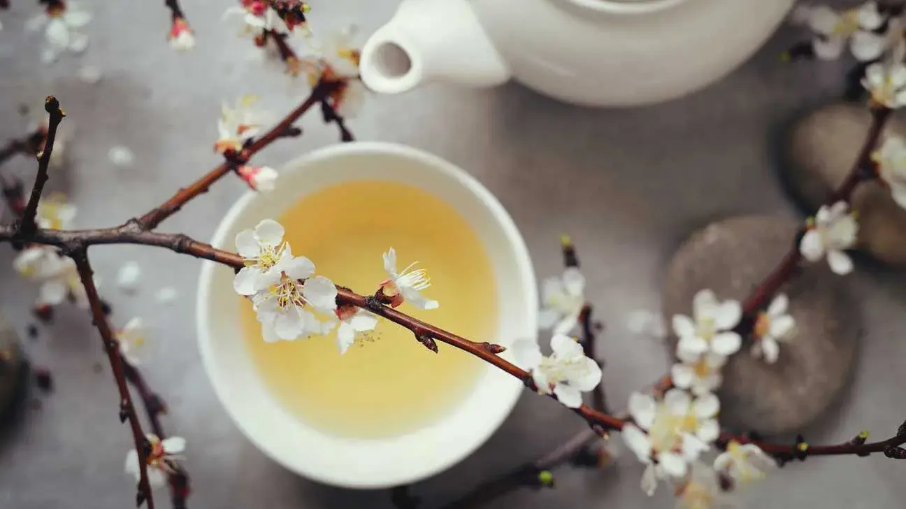 The Ultimate Guide to White and Yellow Tea