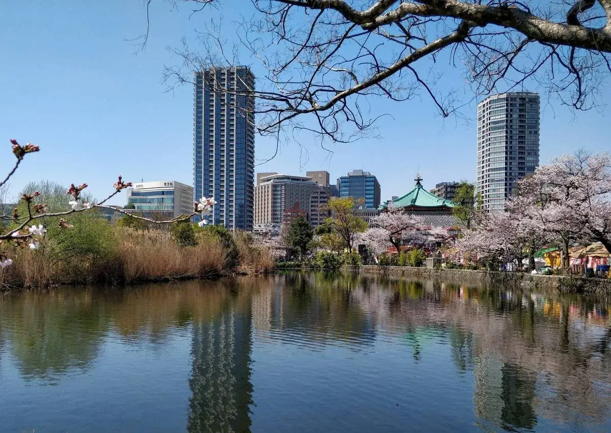 Shinobazu pond surrounded by greenery at Ueno Park in Tokyo